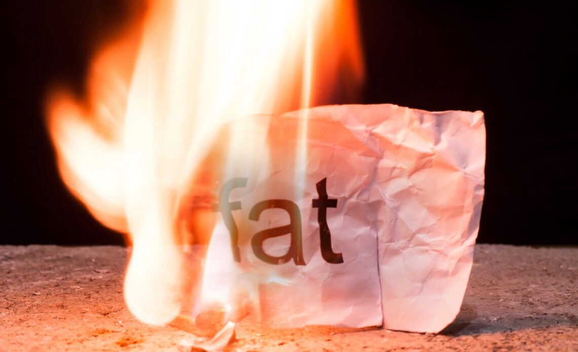 Zettel mit dem Wort fat steht in Flammen